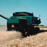 Ургац хураах