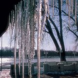 Мөсөн хонгорцог