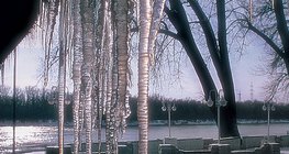 Мөсөн хонгорцог