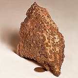 Шохойн чулуун усны хад