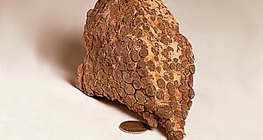 Шохойн чулуун усны хад