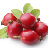 Нохойн хошуу