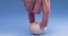 Өндөг эргүүлэх