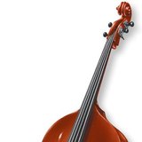 Контрабасс