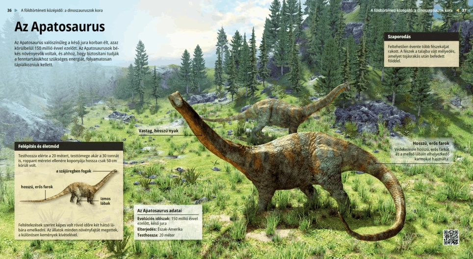 Apatosaurus