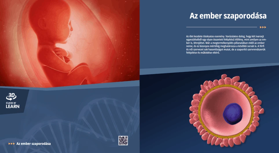 Human Reproduction