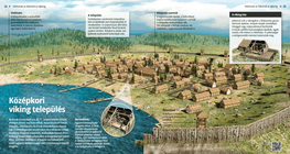 Medieval Viking Settlement