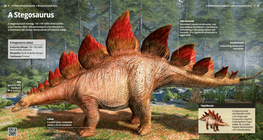 Stegosaurus