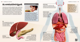 The Digestive Glands