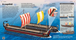 Boarding Bridge (Corvus)