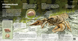 Tardigrades and Crayfish: Moulting Animals