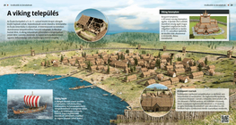 Viking Settlements