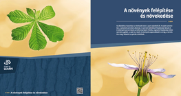 The Anatomy and Development of Plants