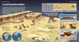 The Surface-shaping Wind