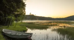 Ус хамгаалал