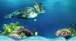 Далай тэнгисийн ертөнцтэй танилцахуй