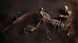 Чулуужсан үлдэгдэл бидэнд юу хэлдэг вэ?