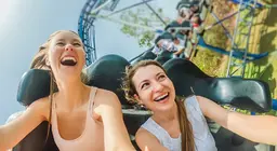 Галзуу хулганын физик