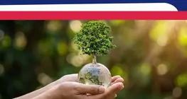 La protection de l’environnement