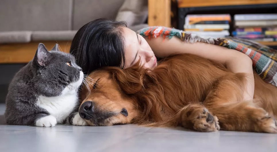 Pets - Int. Ed.