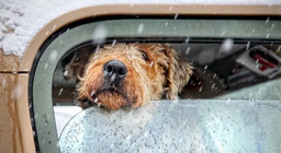 Цаг агаарын төсөл