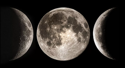 Дэлхийн дагуул