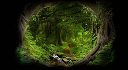 Ширэнгэн ойн гүнд