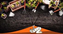 Цэцэрлэгт ургаж буй ургамлын амьдрал хэрхэн өөрчлөгддөг вэ?