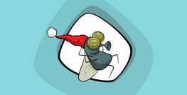 Ялаа өвөл хаана нуугддаг вэ?