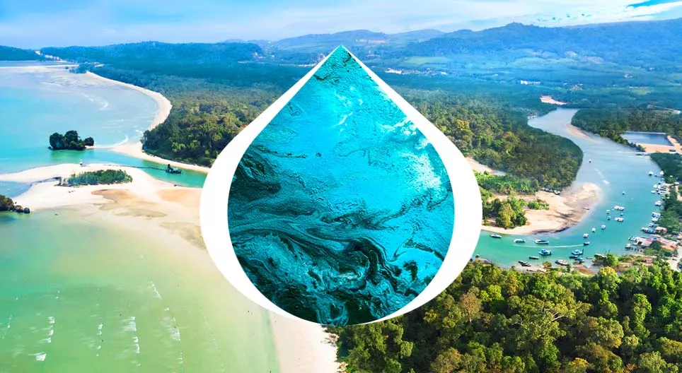 Голын эхээс адаг хүртэлх аялал