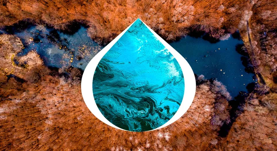 Нуурын гарал үүсэл