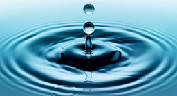 Гадарга дээр юу болдог вэ?