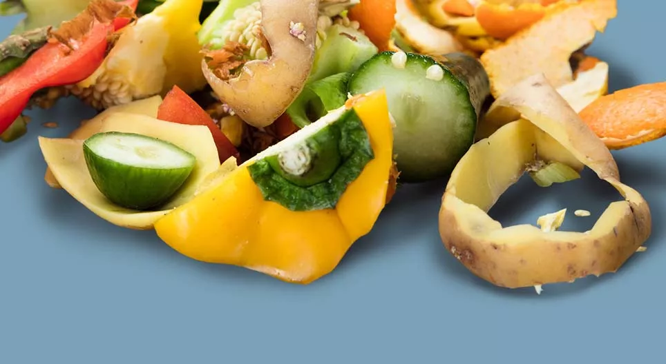 Хог хаягдлын хэмжээг бууруулцгаая!