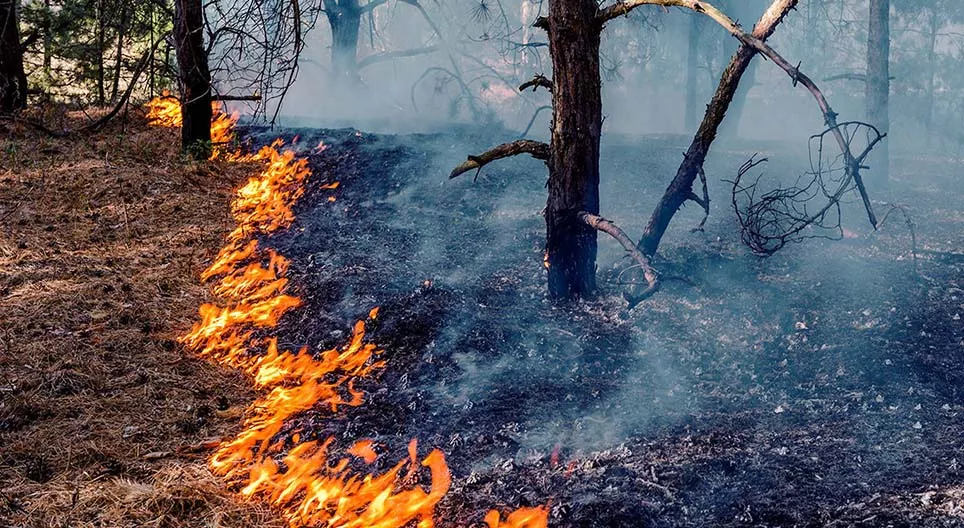 Бид хэр удаан гал хэрэглэж байна вэ?