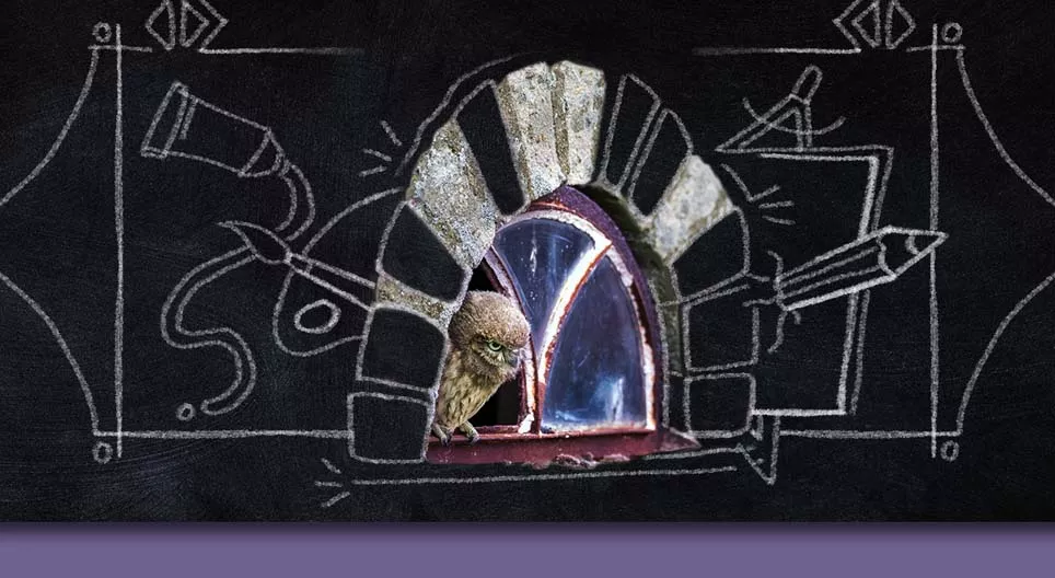 Цонх бүхэн адилхан харагддаг уу?