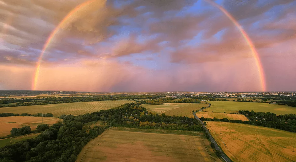 Солонгоор гулсацгаая