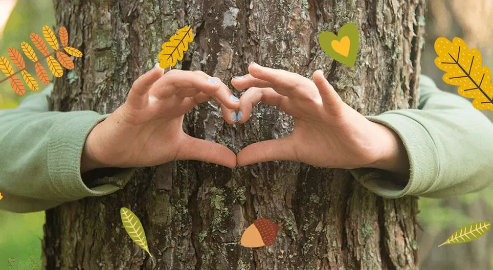 Ойн экосистем