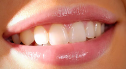 Шүдний талаар бид юу мэдэх вэ?