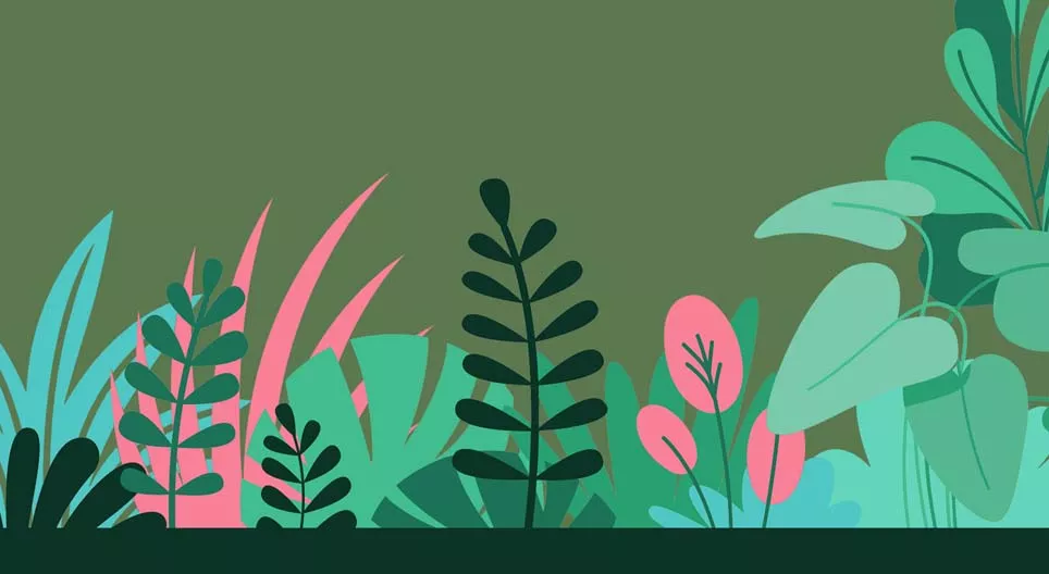 Өвслөг ургамал