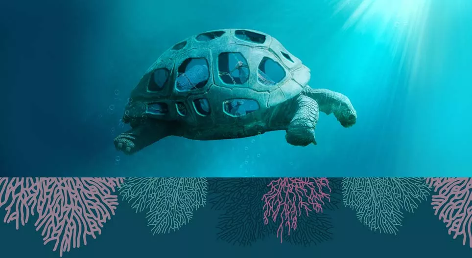 Далайг аюулд оруулж буй үйл явц