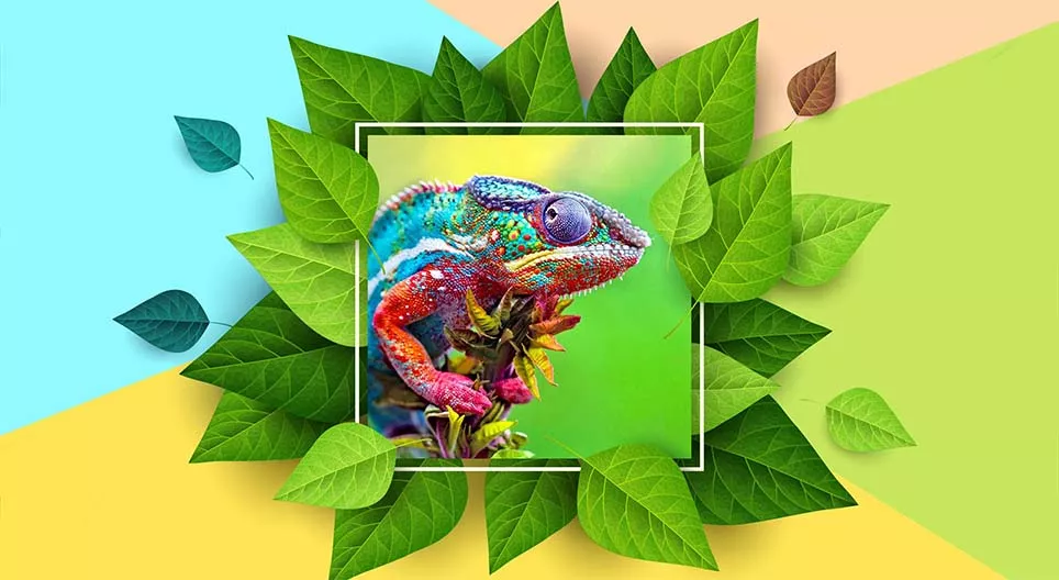 Байгаль дахь өнгөний хувирал