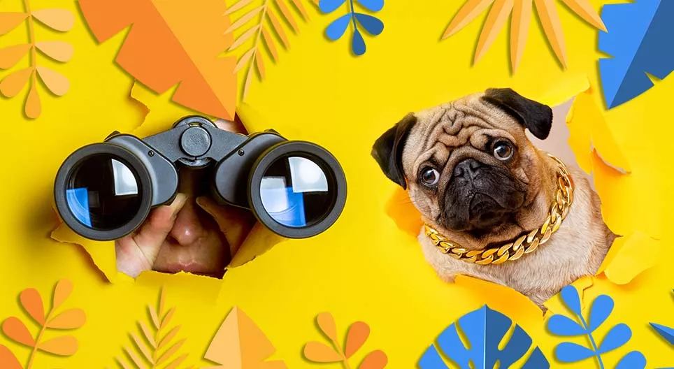 Чи ч бас харж байна уу?