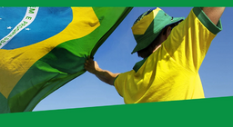 Хамтдаа аялцгаая: Бразил