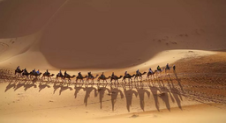 Жингийн цуваанд нэгдээрэй!