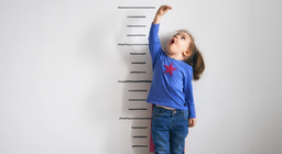 Хэмжих гэж юу вэ?