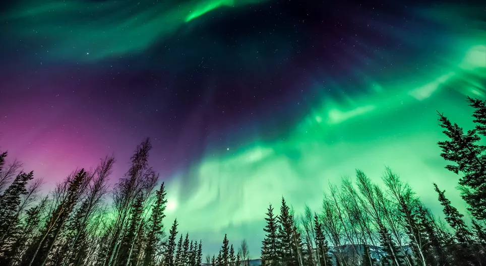 Туйлын туяа харцгаая