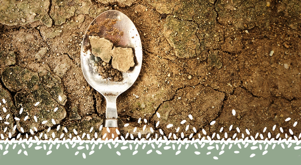 Дэлхийн хүнсний хямрал