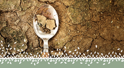 Дэлхийн хүнсний хямрал