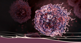 Аймшигт онош: Хорт хавдар