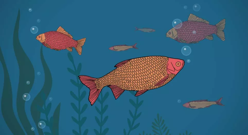 Загас ус уудаг уу?